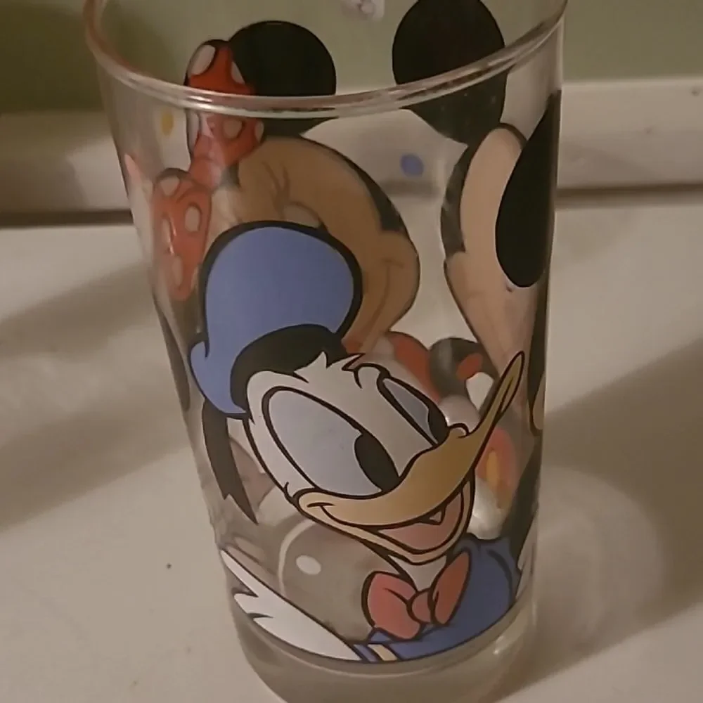 Disney enjoy your
